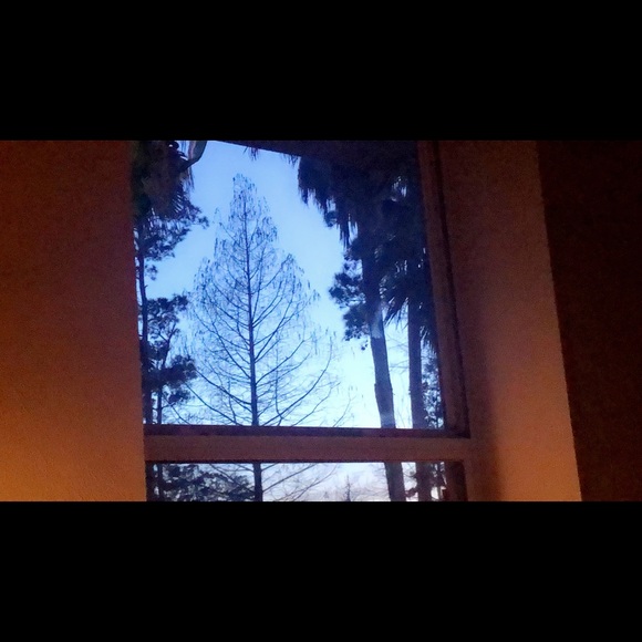 Meet your Posher, Haley - Picture 1 of 1